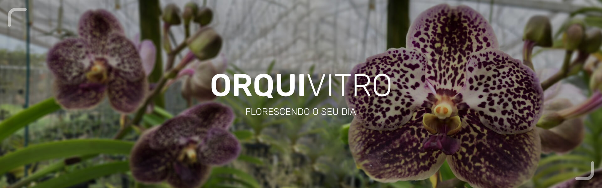 jogo do mario flash 2.0 no click jogos