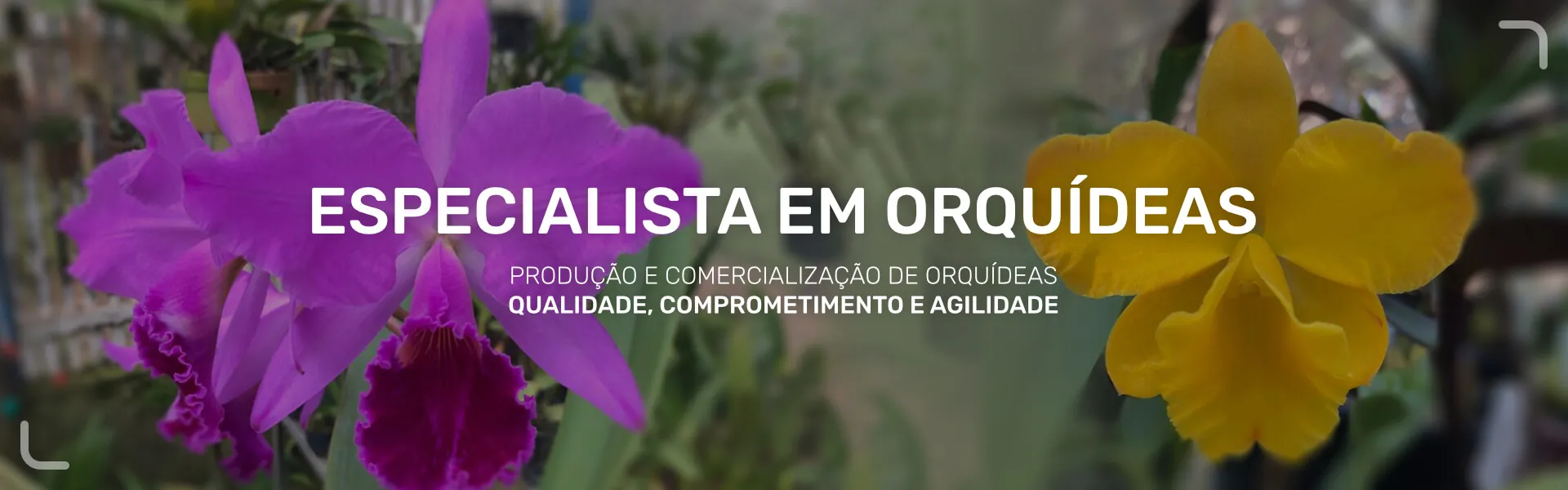 jogo do mario flash 2.0 no click jogos